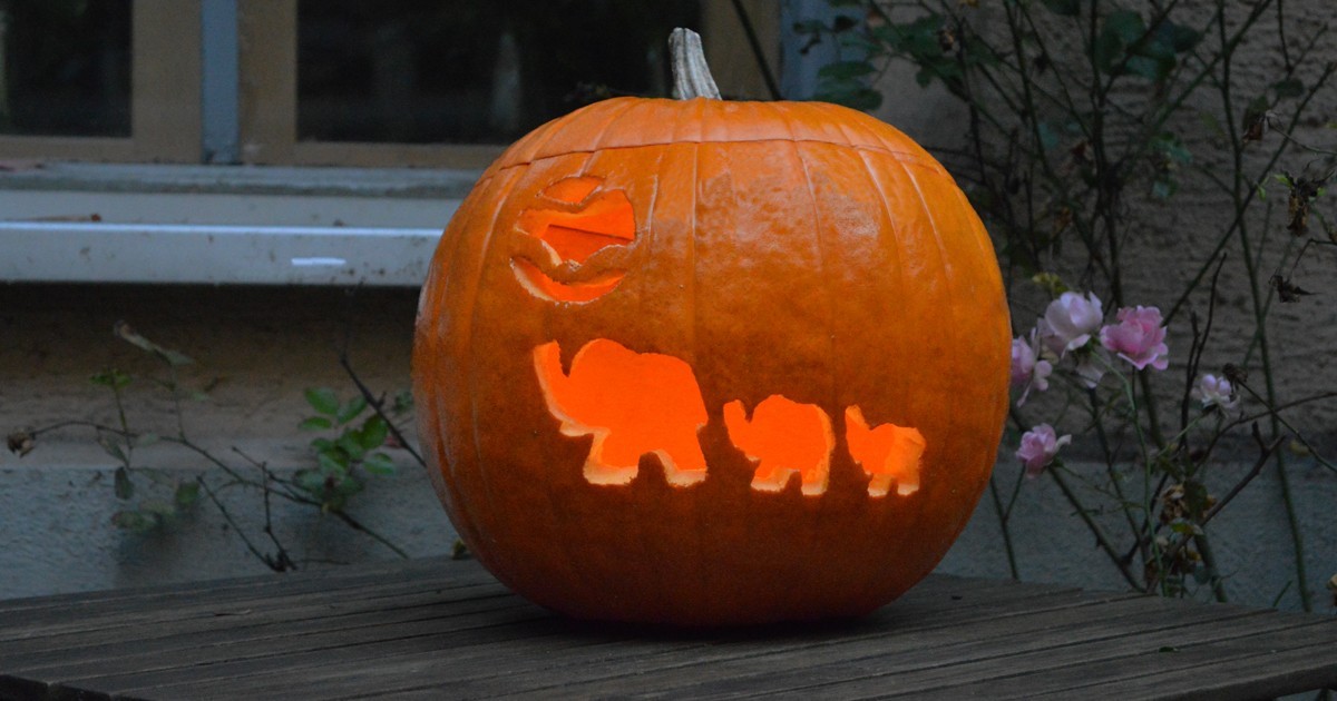 Halloween Kürbis mit Elefant